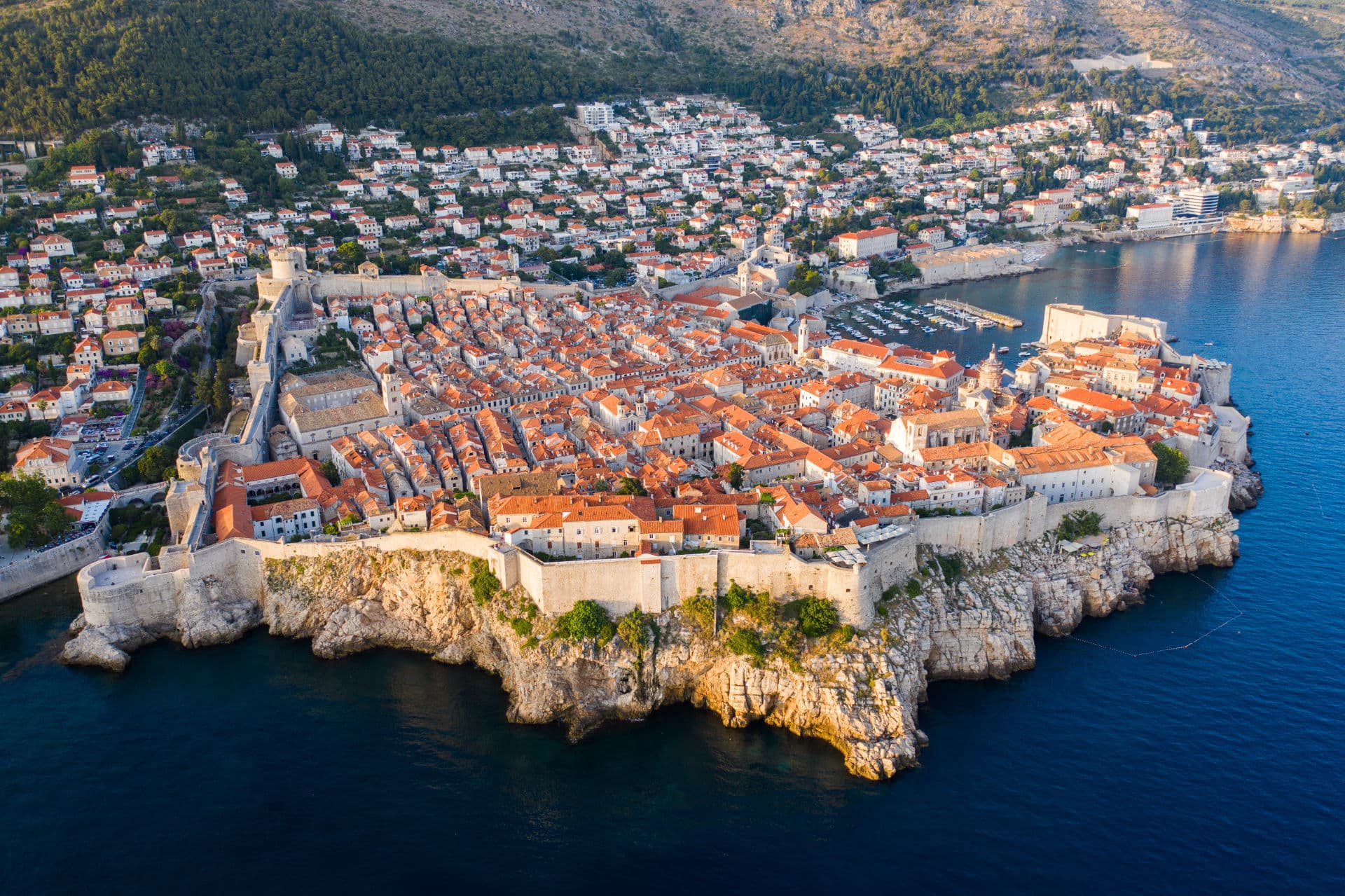 Dubrovnik and Mali Ston: Historical Marvels and Gastronomic Delights gallery 5