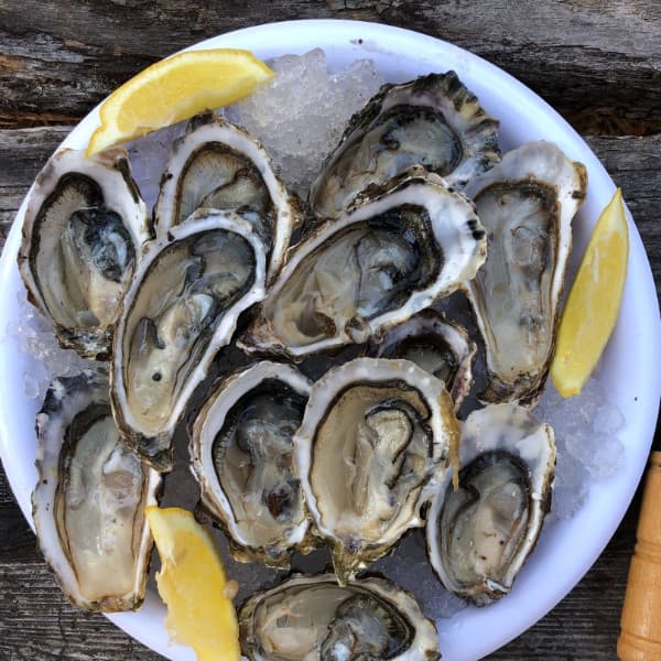 Dubrovnik and Mali Ston: Historical Marvels and Gastronomic Delights gallery 6