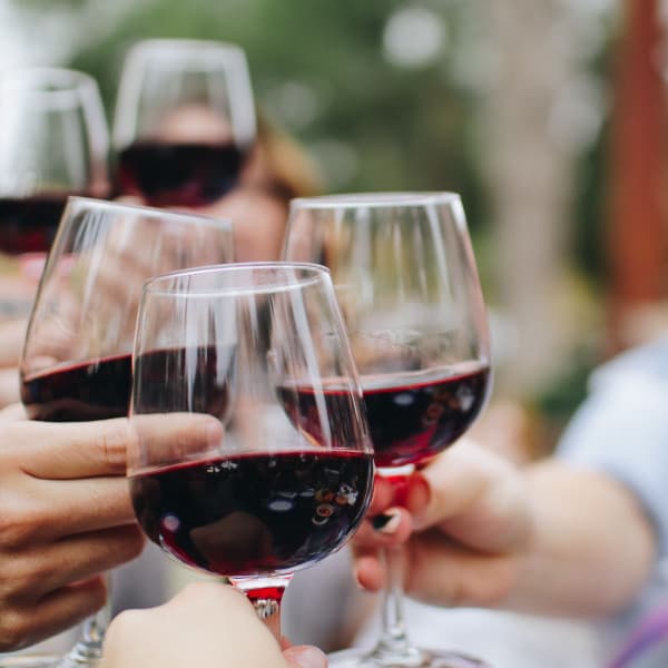 Krka Waterfalls and Sibenik: Nature, History, and Croatian Wine Delights gallery 6